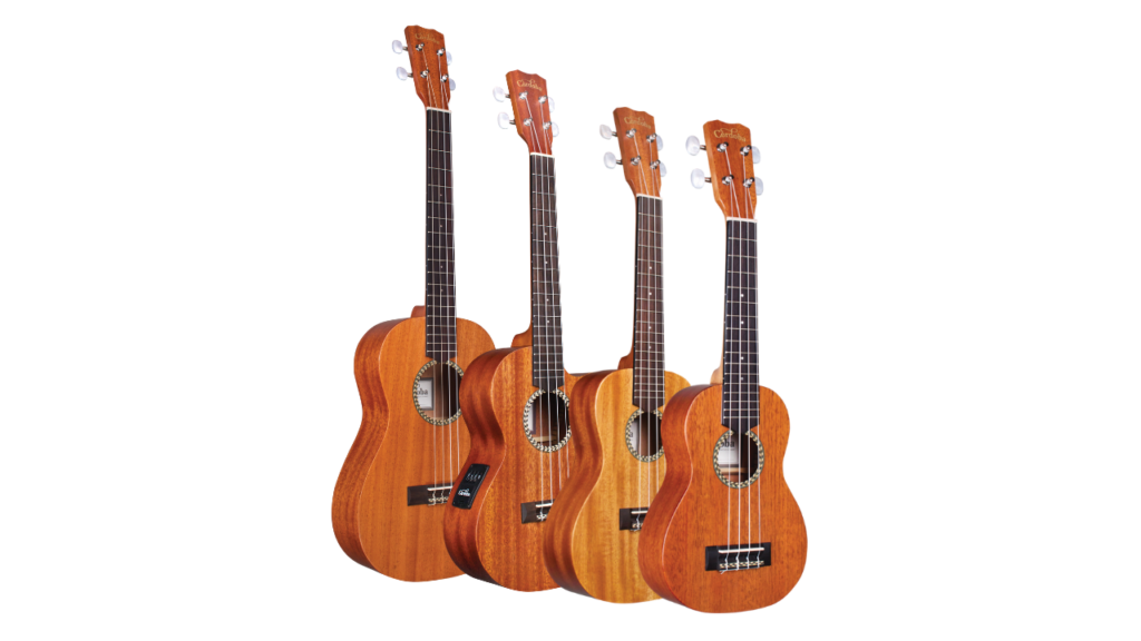 20 Series Ukuleles